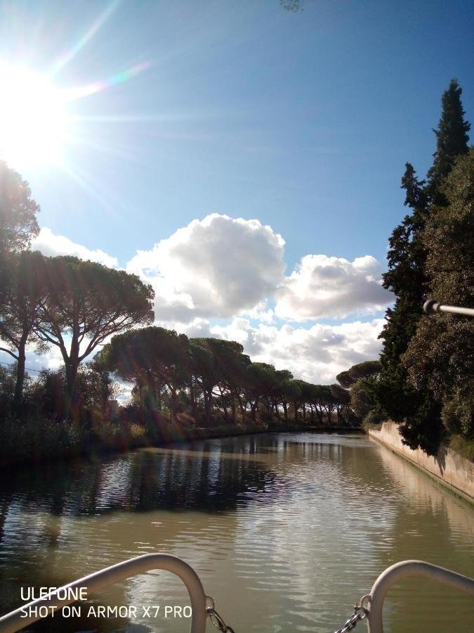 Olive View Βίλα Puissalicon Εξωτερικό φωτογραφία